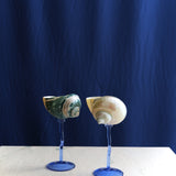 Cala Blu Glass