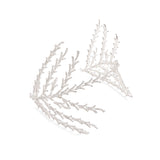 Nova Branches