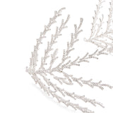 Nova Branches