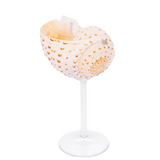 Cala Maris Cocktail Glass