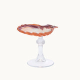 Venus Tide Shell Glass