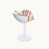 Conchiglia Dorata Champagne Glass
