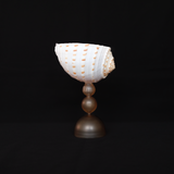 Dorella Shell Glass
