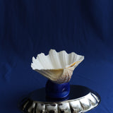 China Clam Bowl
