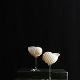 Cala Maris Cocktail Glass