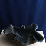 Oyster Bleu