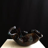 Oyster Noir