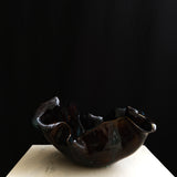 Oyster Noir