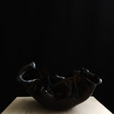 Oyster Noir