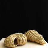 Mare Ruffia Fossil Set