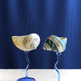 Cala Blu Glass